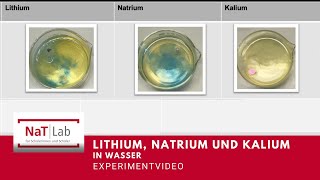 Lithium Natrium und Kalium in Wasser  Experiment [upl. by Larochelle]