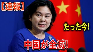 🔥「反日テロ」勃発！深圳で日本人学校の悲劇が起こる…中国社会の不満と怨念とは？ [upl. by Ettennod]