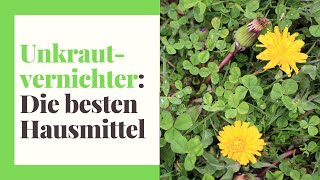 Unkrautvernichter  Hausmittel organische Mittel und Chemie praktische Tipps [upl. by Gorman401]