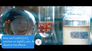 How Silver Nitrate AgNO3 Reacts With Potassium chromate K2CrO4  K2CrO4AgNO3 [upl. by Anavoig]