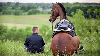 The Funniest Moments With Horses [upl. by Clarice716]