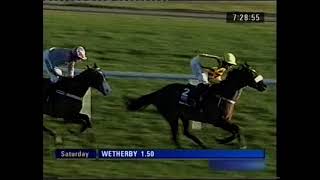 2008 wbxcom Fighting Fifth Hurdle [upl. by Bartholemy]