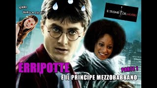 RIASSUNTO ACCURATISSIMO HARRY POTTER quotERRIPOTTE E IL PRINCIPE MEZZOBABBANOquot PT1 [upl. by Bathelda]