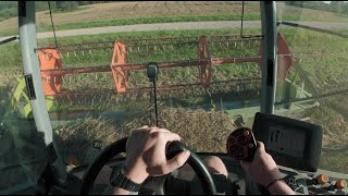 CLAAS Tucano 320  POV harvesting wheat [upl. by Siravrat]