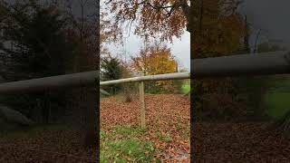 Meggen Luzern Schweiz 🇨🇭🍂nature motivation coffee music shorts short [upl. by Nylsirhc]