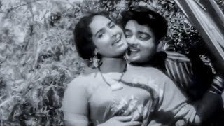 Harinath KR Vijaya Superhit Song  Rasanu Premalekhalenno Song  Sridevi Movie Video Songs [upl. by Krusche561]