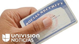 Qué debe hacer y qué no un inmigrante que tenga documentos falsos [upl. by Ayhay]