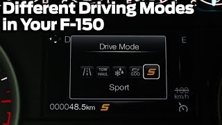 What Different Driving Modes Do In Your F150 [upl. by Ynaffik]