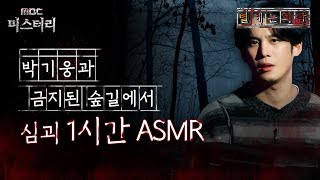 별 헤는 괴담 박기웅과 금지된 숲길에서 심괴 1시간 ASMR 심야괴담회 심괴 어둑시니 MBC210708방송 [upl. by Attennaej]