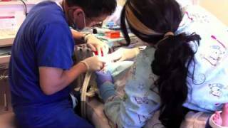 My First Dental Procedure 42811 [upl. by Nilre347]