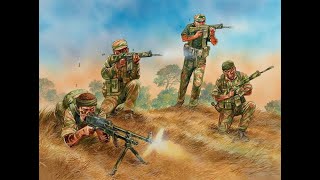 This is Africa The story of the Rhodesian Light Infantry [upl. by Atiuqcir]