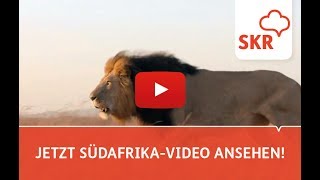 7 Gründe für Ihre Südafrika Reise [upl. by Ttenna]