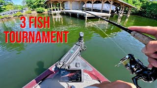 Bass Fishing Tournament on a weekday Lake Anna Virginia [upl. by Maxfield]