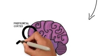 An Introduction to Executive Functions [upl. by Courtnay]