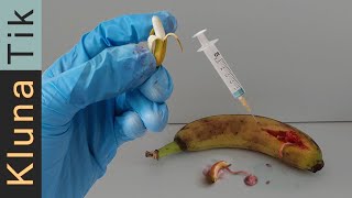 GMO experiments you can do at home Genetically modification DIY recipe [upl. by Hasin507]