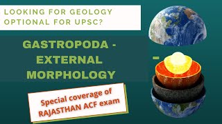 GASTROPODA Mollusca External Morphology  Geology Palaeontology UPSCGeologyOptional RPSC ACF [upl. by Purvis19]