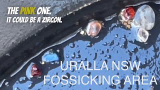 URALLA NSW Woolridge fossicking area Gold Sapphires and gems goldprospecting [upl. by Ivey]