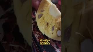 lets eat juicy and sweet tree ripe langka fruit shortsviral short [upl. by Toomay]