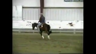 Flash Nu Cash  AQHA Reining Stallion  AT STUD [upl. by Ram]