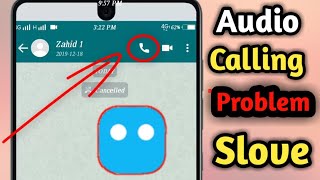 How To Fix Botim Audio Calling Problem Solve [upl. by Hoebart]