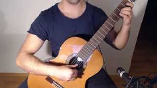 A Winters Tale  The Elder Scrolls V Skyrim on Guitar [upl. by Nirat717]