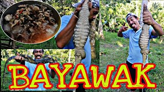 BAYAWAK Catch in a TRADITIONAL TRAP CLEAN AND COOK exoticfood [upl. by Gerrald]