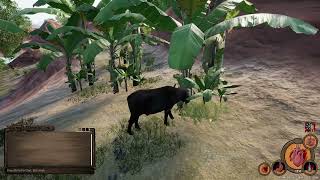 Animalia Survival New Buffalo Playable [upl. by Anatsirhc663]