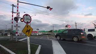 SH54 Kimbolton Road Level Crossing Feilding [upl. by Seldon]