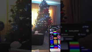 75ft Christmas tree with 600 Twinkly lights [upl. by Otilrac]