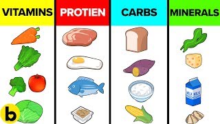 How The Six Basic Nutrients Affect Your Body [upl. by Shinberg16]