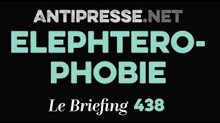 ELEPHTEROPHOBIE 1942024 — Le briefing avec Slobodan Despot [upl. by Eidob]