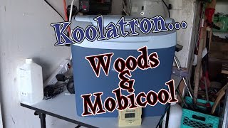 Koolatron Woods and Mobicool Thermoelectric Coolers [upl. by Aihn]