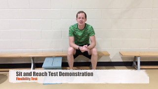 How to do the Sit and Reach Test  Height and Weight Demonstration [upl. by Rheba]