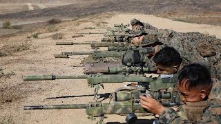 Marine Sniper Training  The First 2 Weeks of USMC Scout Sniper Training [upl. by Hgielrebmik774]