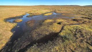 More than just a peat bog [upl. by Sydel]