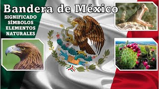 Significado y Símbolos de la Bandera de México y sus Elementos Naturales 🇲🇽 4K [upl. by Ylle]