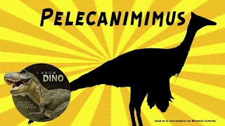 Pelecanimimus Dinosaur of the Day [upl. by Getter677]