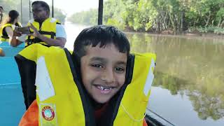 Dr Salim Ali Bird Sanctuary Goa Goa travel Birds गोवा sanctuary mangrove Wow documentary [upl. by Aimas]