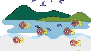 The Fish Go Swimming Kids Song Finny The Shark Baby Shark Animals Songs [upl. by Yobybab]