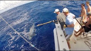 Big Game Fishing Mauritius  Soudan Bank 2014 [upl. by Aehtorod]