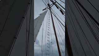 January 2024 Hoisting the main staysail during AY2324 SOC CCSGP x STEER Sailing the Java Sea [upl. by Avie6]