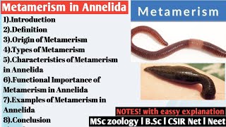 Metamerism in Annelida  Metamerism [upl. by Llessur]