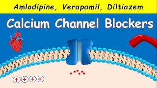 Calcium Channel Blockers  Amlodipine Verapamil Diltiazem [upl. by Lorena126]