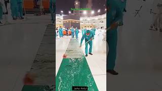 Kaaba Sharif Carpet cleaning 💖💖islamicvideos shortsfeed islamicstatus trending viral [upl. by Atla]