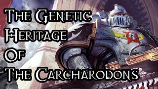 The Genetic Heritage Of The Carcharodons  40K Theories [upl. by Feingold]