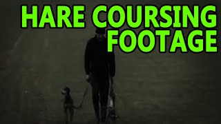 Hare Coursing Footage  Working Lurchers [upl. by Anidal]