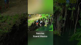 Incredible Cave Cenote Explorations Xenotes Tour  Xcaret México All Fun Inclusive [upl. by Rutter]