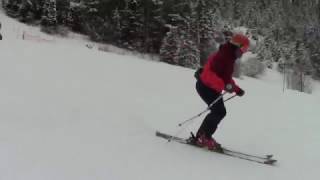 Parallel Skiing  1  PSIA  Level 2  Movement Analysis Training [upl. by Camille]