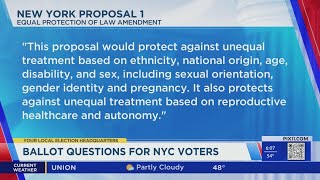 2024 election Ballot questions for NYC voters [upl. by Desi]