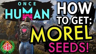 Once Human Best Ways to Get Morel Seeds [upl. by Aztiram]